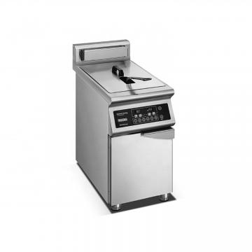 High Capacity Electric Deep Fat Fryer with Temperature Controller