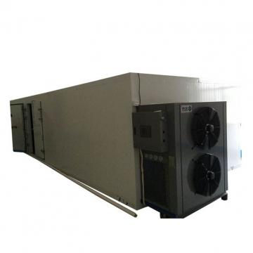 500kg/H Gas Heated Arabic Date Dryer for Data Powder