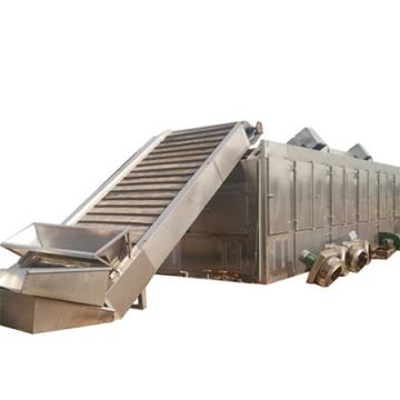 Microwave Continuous Tunnel Type Tray Tunnel Date Peanut Dryer