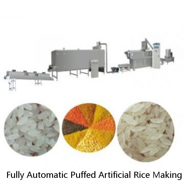 Fully Automatic Puffed Artificial Rice Making Machine with Best Price