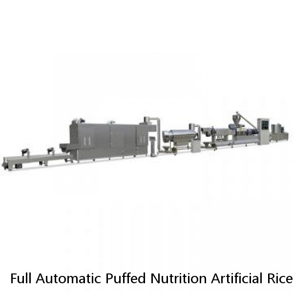 Full Automatic Puffed Nutrition Artificial Rice Extruder Making Machine