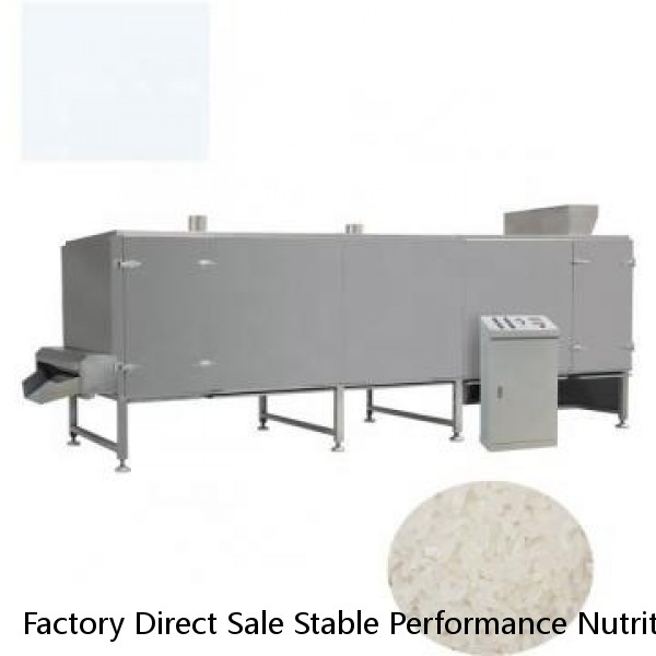 Factory Direct Sale Stable Performance Nutritional Artificial Rice Extruder