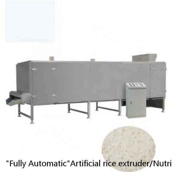 "Fully Automatic"Artificial rice extruder/Nutritional rice making machine/Artificial rice process line