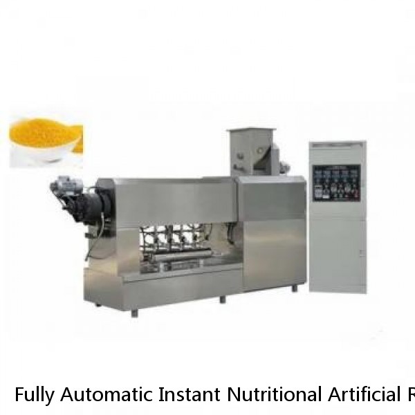 Fully Automatic Instant Nutritional Artificial Rice Processing Line